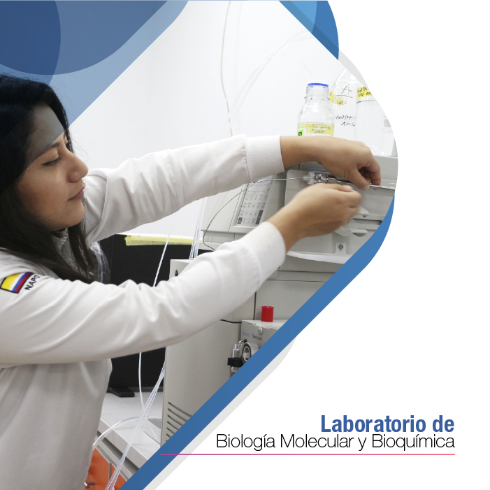 Laboratorio de Biología Molecular