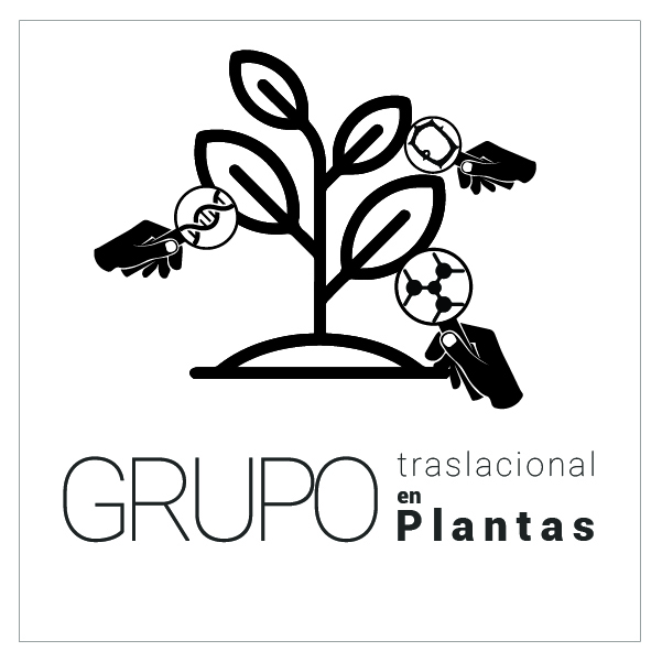 Grupo Traslacional en Plantas