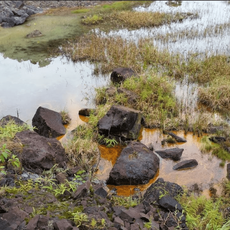 Afluentes contaminados con derribados de petróleo