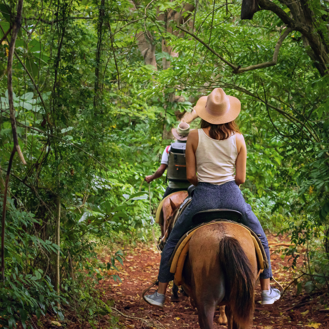 Guías Locales de Turismo