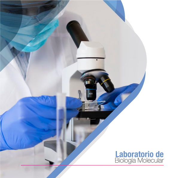 Laboratorio de Docencia Biología Molecular