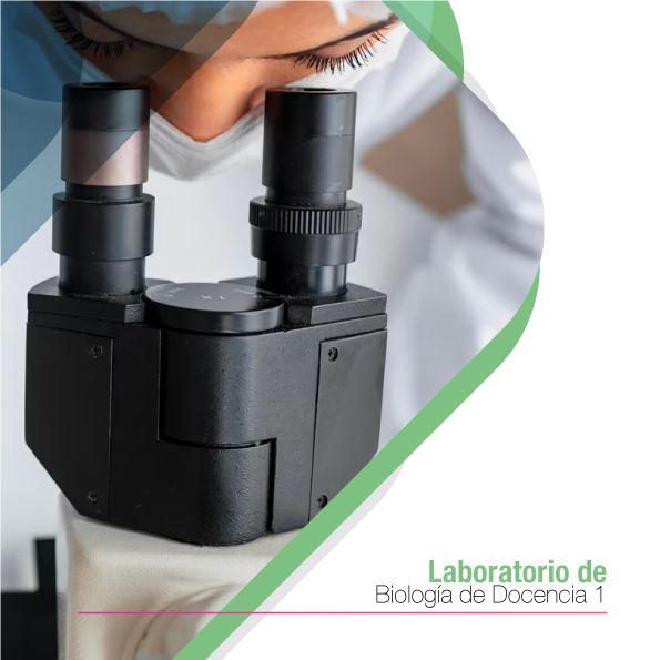 Laboratorio de Biología de Docencia 1