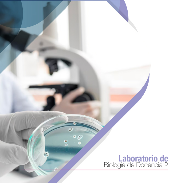Laboratorio de Biología de Docencia 2