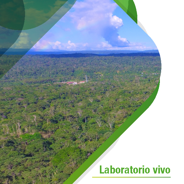 Laboratorio Vivo 