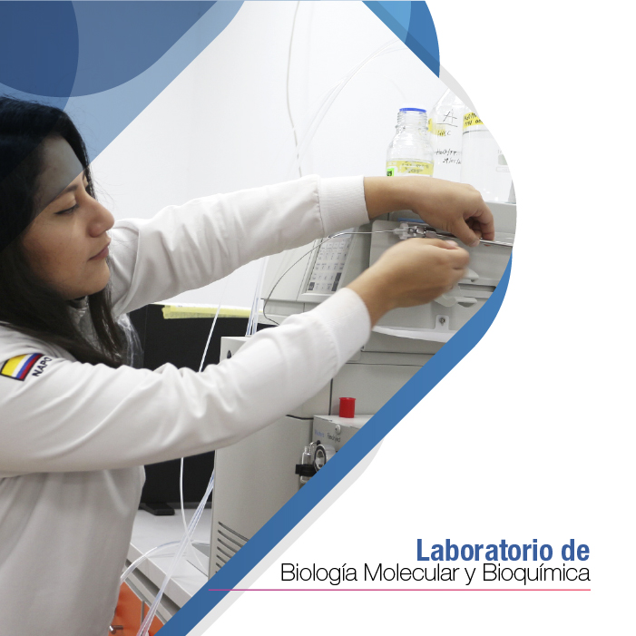 Laboratorio de Biología Molecular y Bioquímica