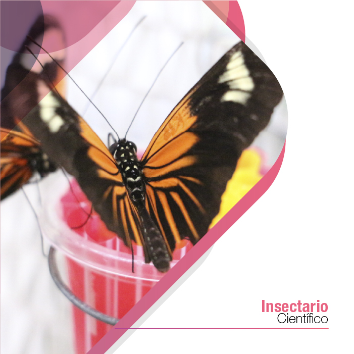 Insectario Científico