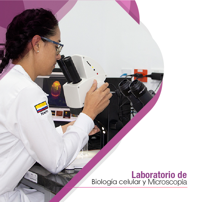 Laboratorio de Biología Celular y Microscopía