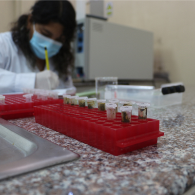 laboratorio-de-docencia-biologia-molecular-4