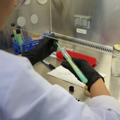 laboratorio-de-docencia-biologia-molecular-5