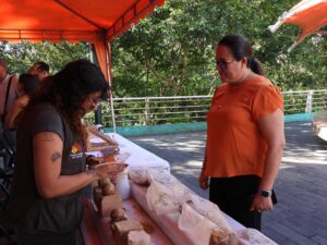 597706505_1341892587982408_4784255645547414806_n