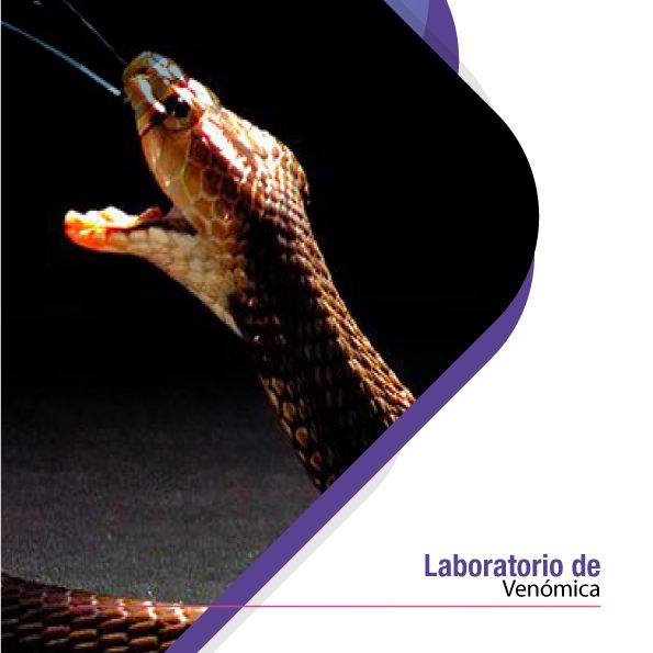 Laboratorio de Venómica